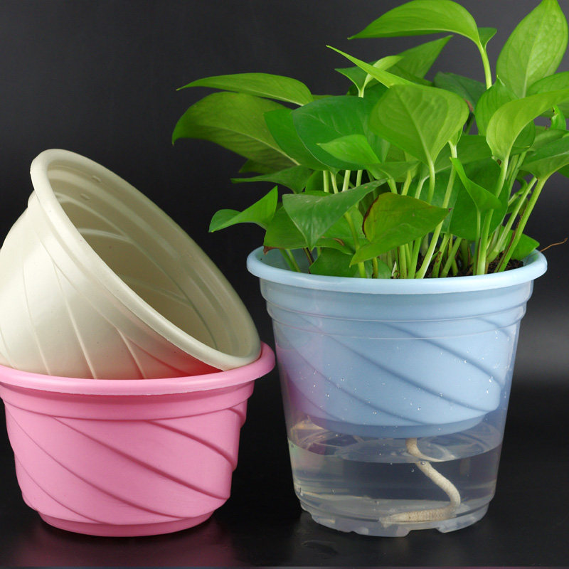 绿萝花盆吊兰多肉绿箩塑料大口径加厚懒人自动吸水透明盆储水5套,鲜花速递/花卉仿真/绿植园艺,花盆,淘宝优惠券,粉丝福利购,淘宝优惠卷