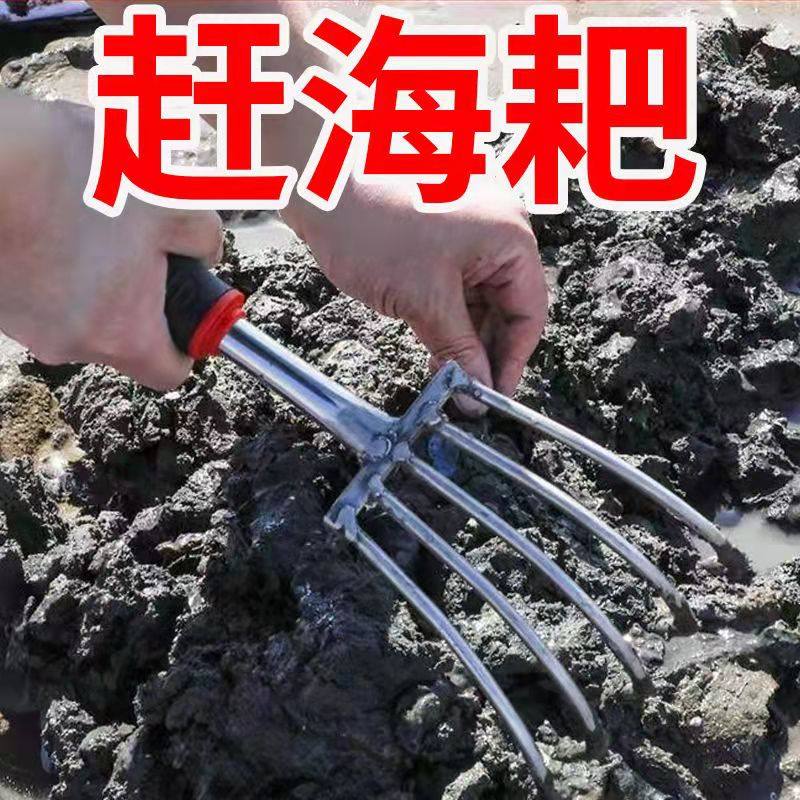 赶海神器不锈钢水草工具套装海边沙滩耙子贝壳蛤蜊挖牡蛎螃蟹蛏子,鲜花速递/花卉仿真/绿植园艺,耙子,淘宝优惠券,粉丝福利购,淘宝优惠卷