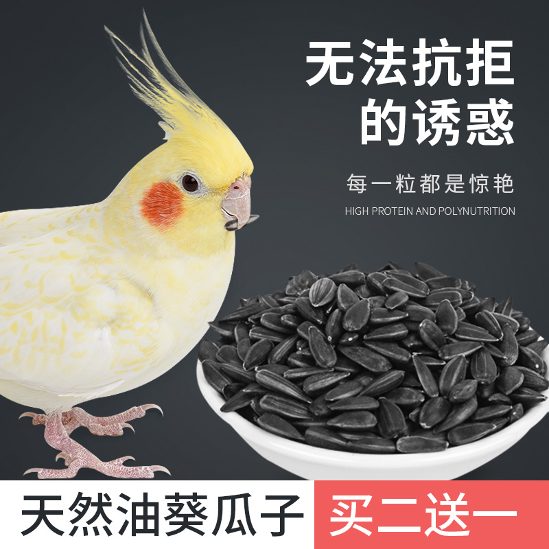 宠尚天牡丹虎皮玄凤鹦鹉饲料瓜子葵花子油葵籽鸟粮宠物鸟鸟食零食