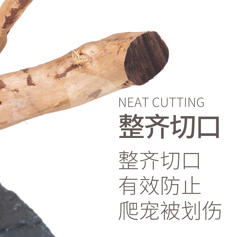 新派宠物爬宠造景爬虫蜥蜴睫角守宫树栖变色龙树根造景爬宠饲养箱