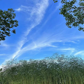 这是一家感情店一分钱素材