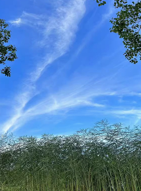 这是一家感情店一分钱素材