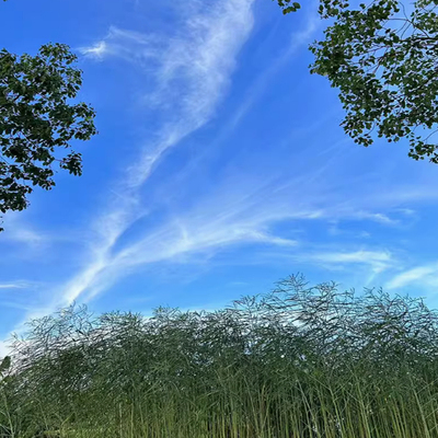 这是一家感情店一分钱素材