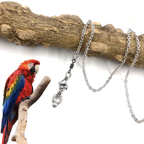 鹦鹉脚环脚链鸟类架养不锈钢防脱鸟链子虎皮八哥牡丹玄凤金刚折衷