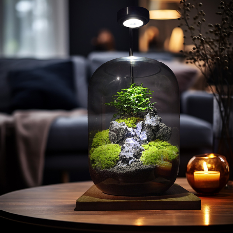 丘辰生命之树青苔藓微景观生态瓶办公室内桌面绿植DIY造景观摆件