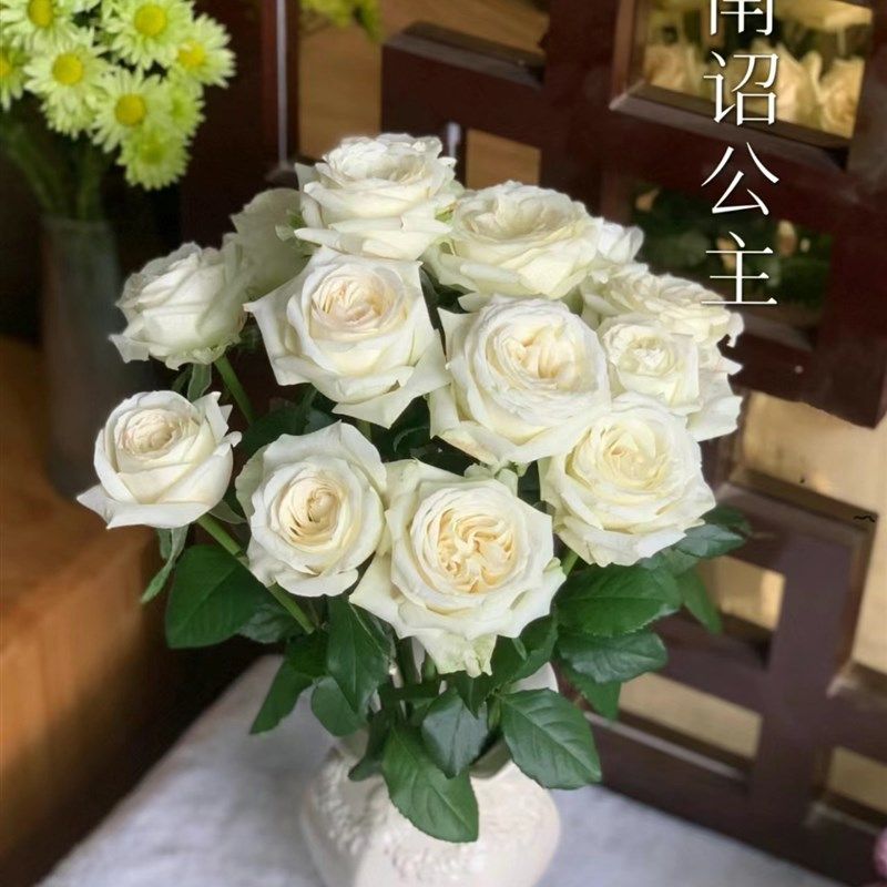 南诏公主 大切花月季玫瑰花苗灌木庭院阳台四季栽植耐热,鲜花速递/花卉仿真/绿植园艺,月季/蔷薇/玫瑰,淘宝优惠券,粉丝福利购,淘宝优惠卷