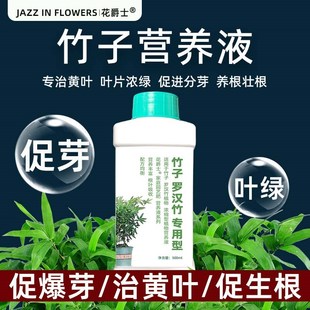 竹子专用营养液内门竹红观音竹佛肚竹罗汉竹水培米竹簕竹黄叶肥料