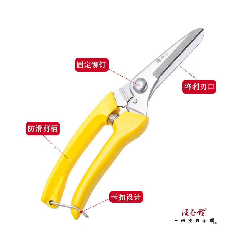 汪吾铨剪刀树枝剪不锈钢园艺剪刀花剪枝剪长头果树强力剪园林剪刀