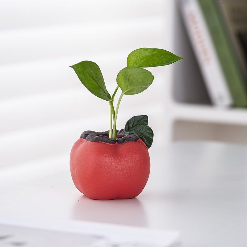 创意橘子花瓶陶瓷水养绿萝水培花盆花器客厅办公桌面装饰礼品摆件,鲜花速递/花卉仿真/绿植园艺,花瓶,淘宝优惠券,粉丝福利购,淘宝优惠卷