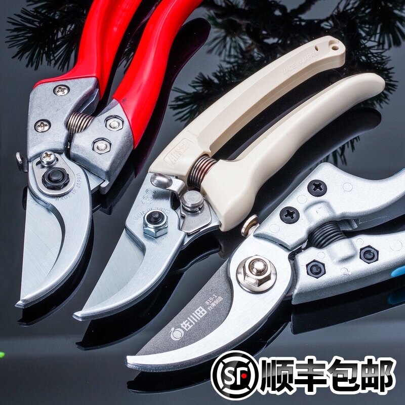 修枝剪园林园艺果树剪刀花剪爱丽斯修剪树枝果树修剪盆景粗枝修建