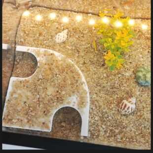 双孔观鱼洞穴隧道生态造景水生动物塑料庇护所鱼缸装饰躲避屋