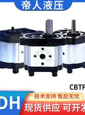 SDH上海大众液压齿轮泵CBTt三模数转向泵特种车油泵 电机驱动