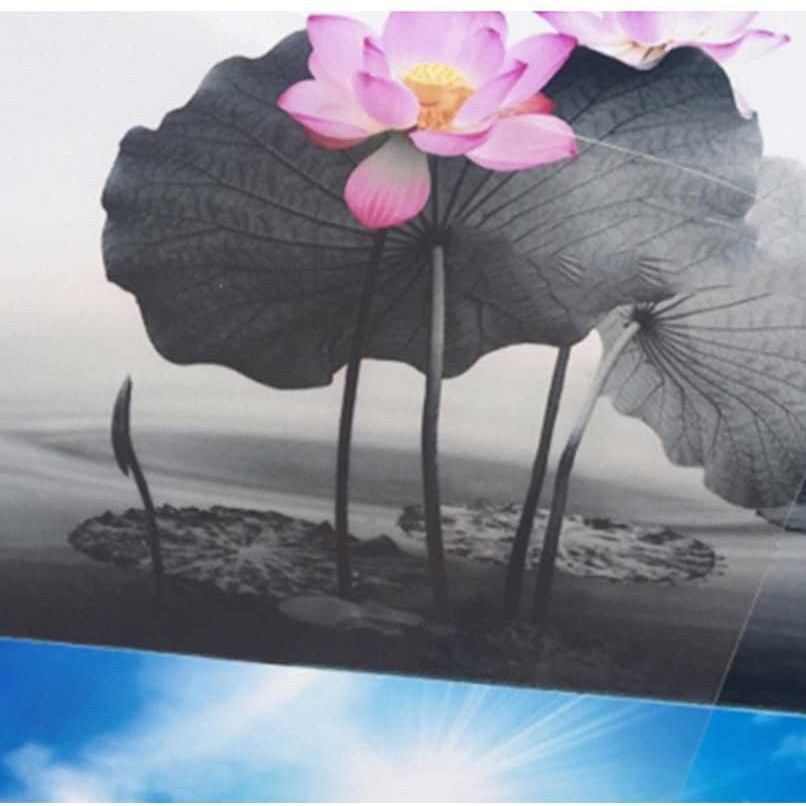 冷裱水透膜 影楼冷裱光膜 TC01相片写真画册保护膜,橡塑材料及制品,塑料片材/塑料卷材,淘宝优惠券,粉丝福利购,淘宝优惠卷