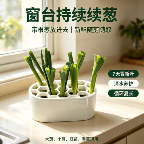 家用蜂窝水培葱蒜盒 小葱保鲜神器 窗台蒜苗香草种植培育盒