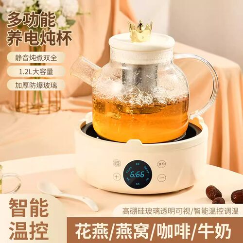 德国智能养生壶家用多功能泡茶煎药壶全自动玻璃加厚热水壶电茶炉