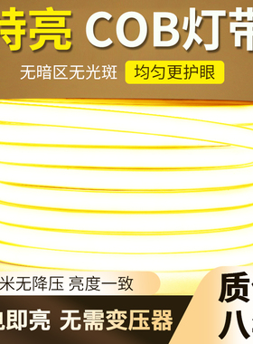 220v灯带ledl灯条可自粘免吊顶客厅柜子户外防水超薄免变压器高亮