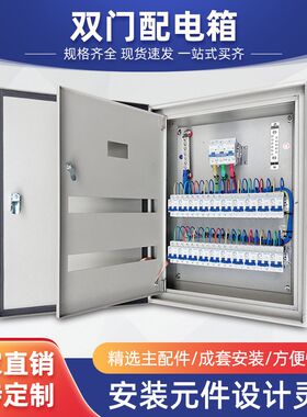 双层门配电箱家用明装挂墙基业箱模块箱低压开关箱内外门排骨铁箱