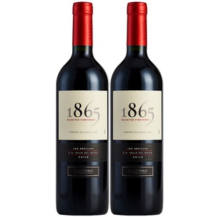 智利原瓶进口红酒圣佩特罗1865赤霞珠干红葡萄酒750ml*2瓶装正品
