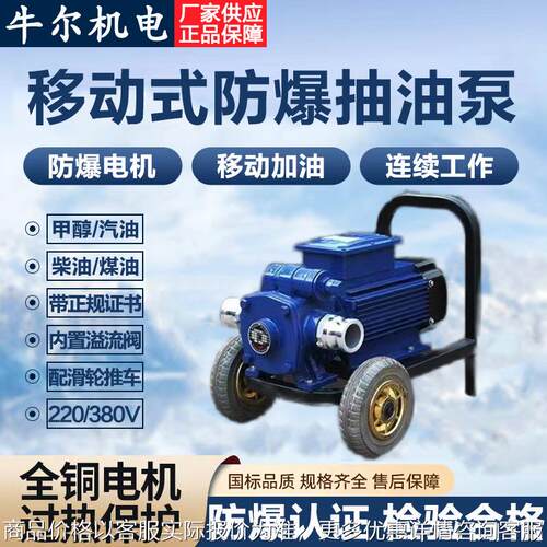 系列自吸滑片泵加油站移动式防爆抽油泵地下罐油罐车卸油泵