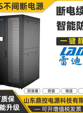 LA3DS雷迪司L10-15K工LM30U-80频UPS不间断电源1K5VA1050W电池拆