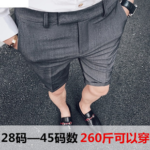 短裤 裤 胖子大尺码 加肥加大五分休闲裤 200斤沙滩 夏季 薄弹力裤 西装