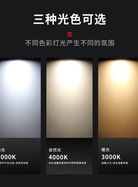 回龙澳浦led筒灯40029-18w 50029 60029-20w嵌入式天花灯孔灯75mm