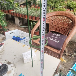火龙果嫁接蟹爪兰支架多层双层花架植物爬藤架子兰花绿萝支撑架