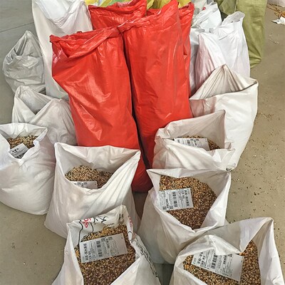50斤装有玉米鸽粮赛飞营养饲料鸟食信鸽观赏鸽肉鸽粮鸽子食包邮