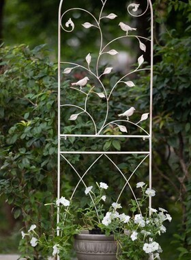 SHANGPIN新品欧式可折叠铁线莲可折叠花架户外铁艺绿植攀爬拱形架