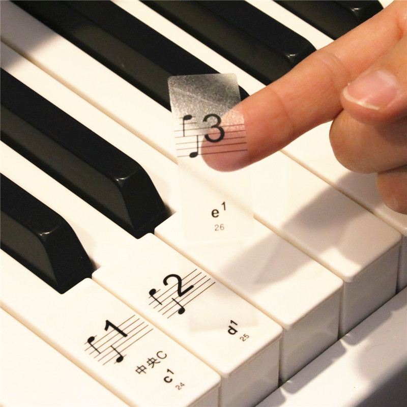 钢琴键盘贴纸88键彩色透明61电子琴手卷五线谱简谱按键音标键位贴