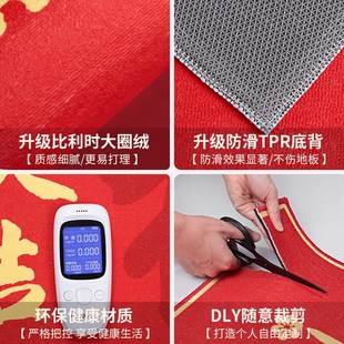 入户门地垫入户门垫龙年红色进门地垫家用门口地垫2024新年脚垫