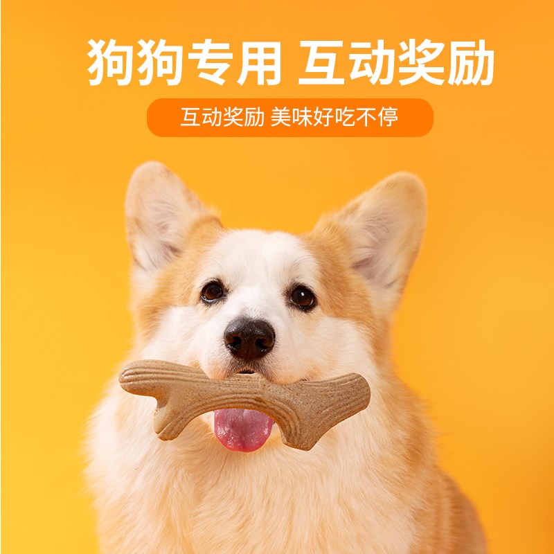 狗狗磨牙棒可食用耐咬鹿角洁齿棒自嗨解闷除口臭中小型犬骨头玩具