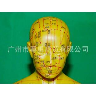 医学保健男女全新刻字工艺人体58cm针灸穴位人体经络模型铜人