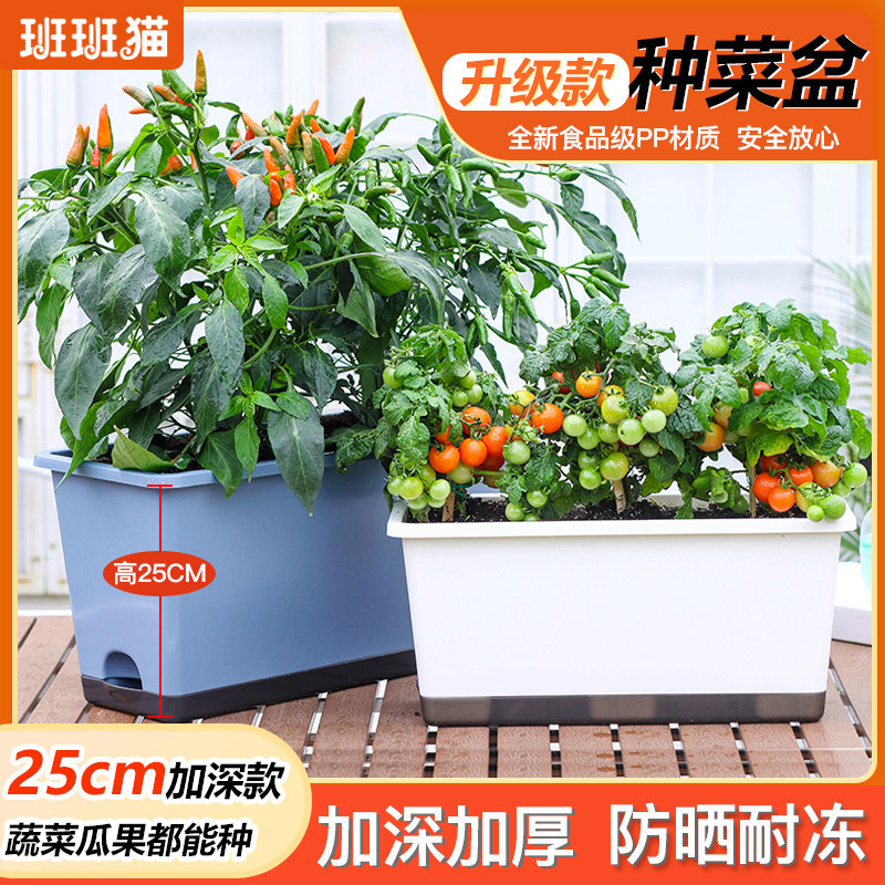 加深阳台种菜盆种菜神器长方形蔬菜种植西红柿西瓜盆懒人塑料花盆,鲜花速递/花卉仿真/绿植园艺,花盆,淘宝优惠券,粉丝福利购,淘宝优惠卷