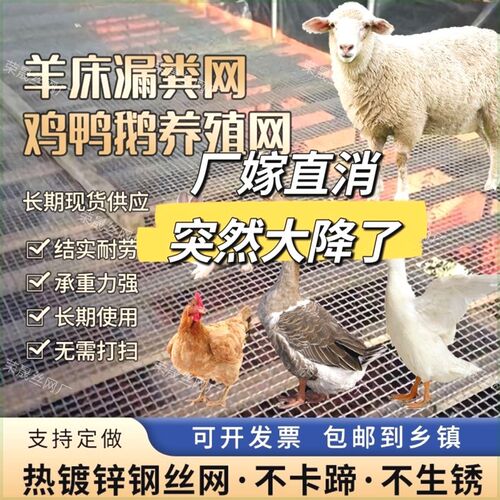 【质量硬】羊床漏粪网猪狗笼漏粪板鸡鸭鹅育雏网底筛网围栏网防锈