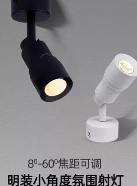 调焦射灯led小角度酒吧餐厅博物馆聚光变焦小射灯7W12W明装氛围灯
