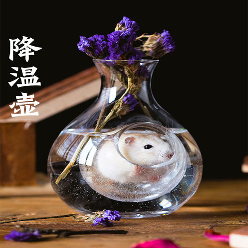 仓鼠降温壶冰窝冰床透明睡窝玻璃窝夏季消暑房冰酒器夏天降温用品