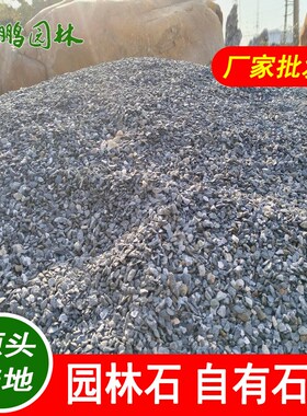 黑色水洗石 庭j院绿化用石子 造景铺面黑碎石 整车直出