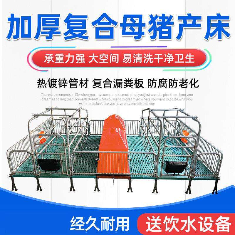 母猪产床保育两用复合板大小仔猪崽限位栏漏粪板保温箱料槽分娩床