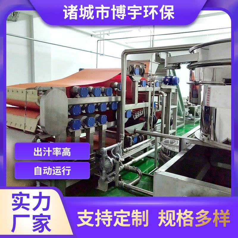 博宇水果汁生产线厂家 工业级果汁机榨汁设备 葡萄汁压榨生产线