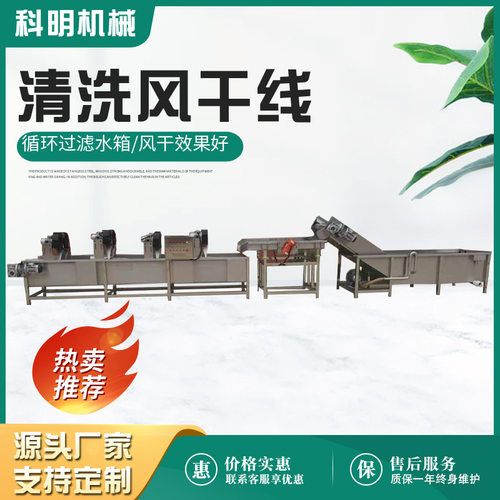 全自动果蔬清洗风干线西梅干加工设备大枣清洗风干流水线厂家