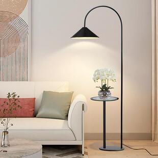 钓鱼灯落地灯客厅沙发旁边几氛围高级感轻奢现代简约艺术智能台灯