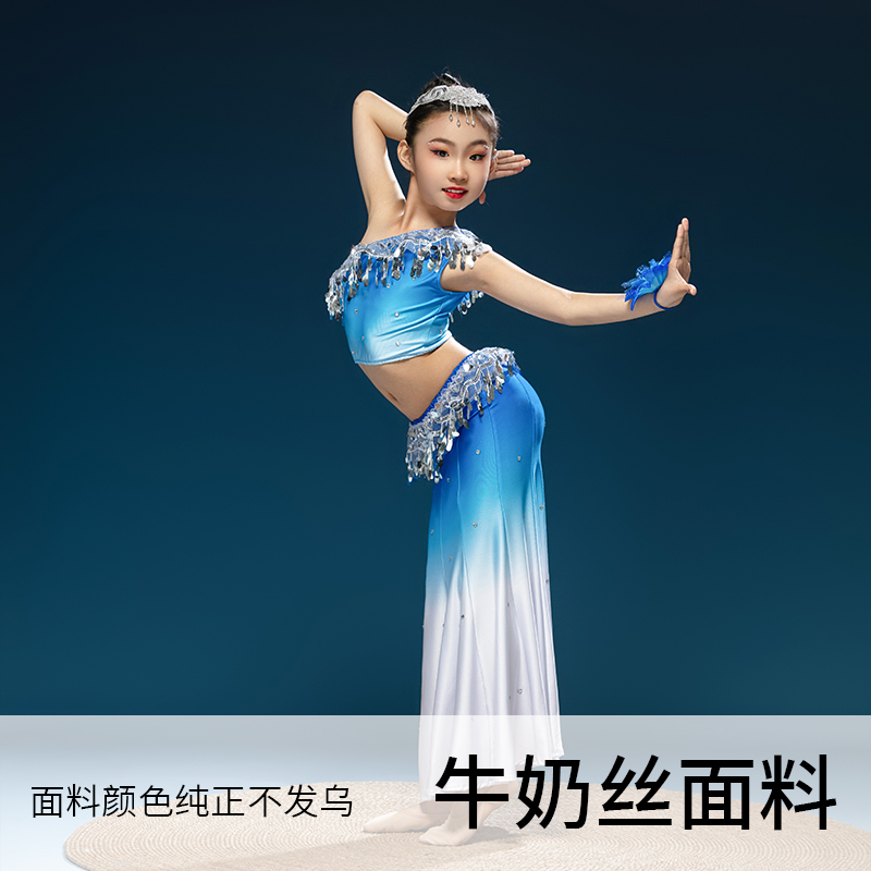 傣族舞蹈演出服幼儿儿童女表演服装孔雀舞鱼尾裙六一演出少儿民族