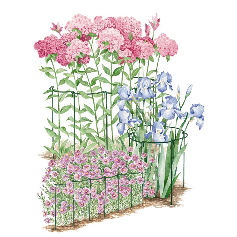 防倒伏弧形花坛边界支撑架阳台盆栽园艺支架草花绣球自由组合支架