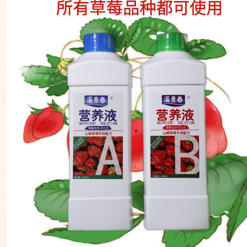 山崎草莓配方浓缩营养液无土栽培土种水养盆栽种植溶液体肥料原液