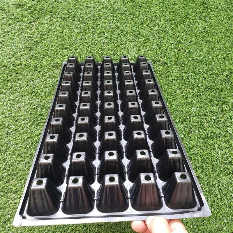 育苗穴盘50穴全新材质国标 蔬菜瓜果育苗盘 型号齐全支持定做包邮,鲜花速递/花卉仿真/绿植园艺,育苗盘/营养钵,淘宝优惠券,粉丝福利购,淘宝优惠卷