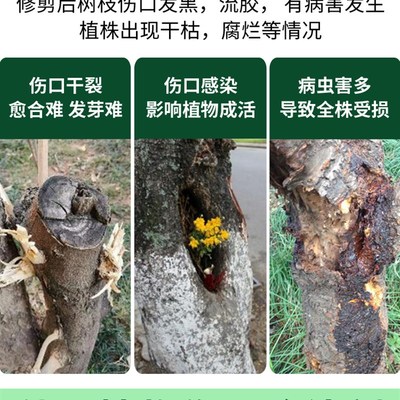 伤口愈合剂嫁接封口胶树木果树植物盆景修剪愈合膏杀菌防腐愈合泥