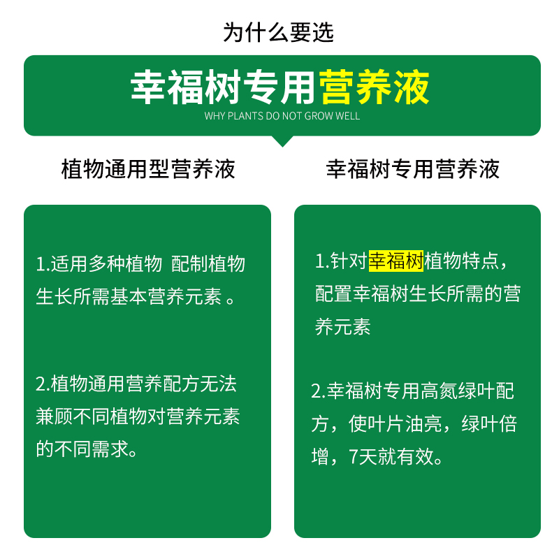 幸福树专用肥料免稀释营养液盆栽植物绿植平安树掉叶子通用型花肥
