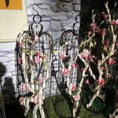 干树枝插花原木杈艺术干支枯枝枯木去皮树杆造型壁挂衣架树干装 饰