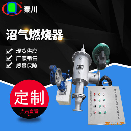 锅炉窑炉点火烧嘴 双燃料燃烧自动点火设备 沼气天然气双气燃烧器